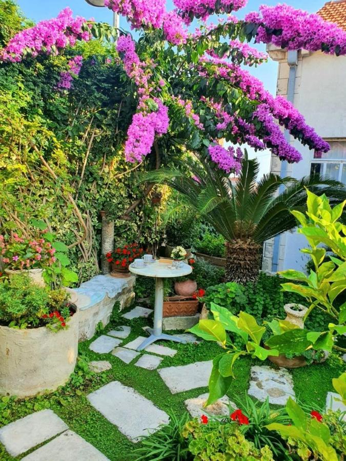 Rooms Garden - With A View Dubrovnik Eksteriør billede